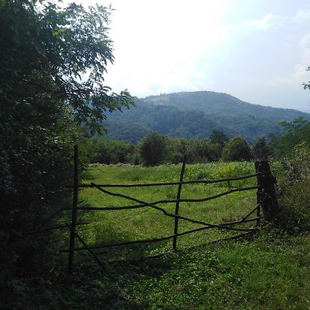 Guesthouse Smiljanic Slavkovica Bagian luar foto