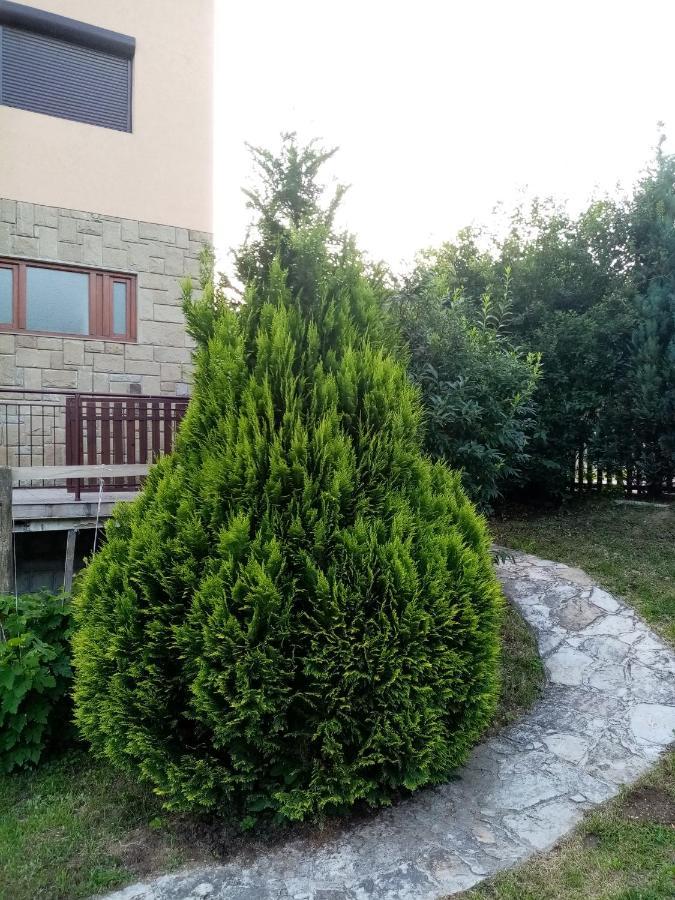 Guesthouse Smiljanic Slavkovica Bagian luar foto
