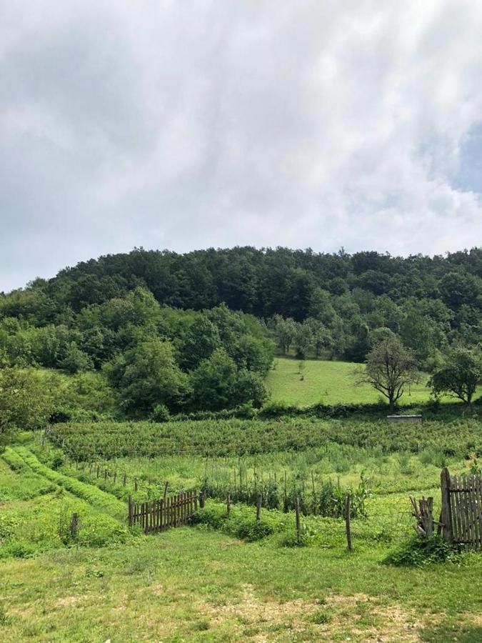 Guesthouse Smiljanic Slavkovica Bagian luar foto