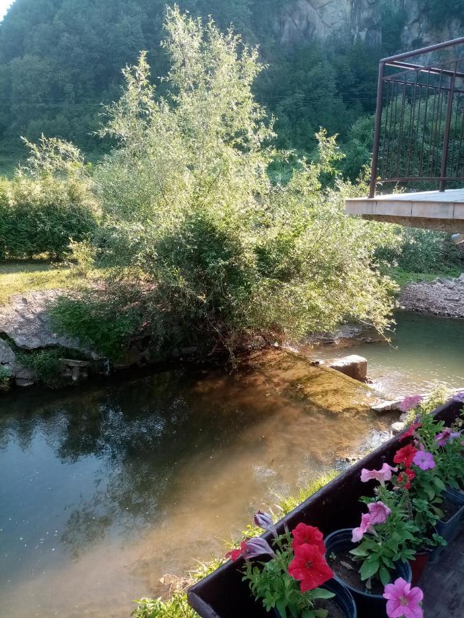 Guesthouse Smiljanic Slavkovica Bagian luar foto