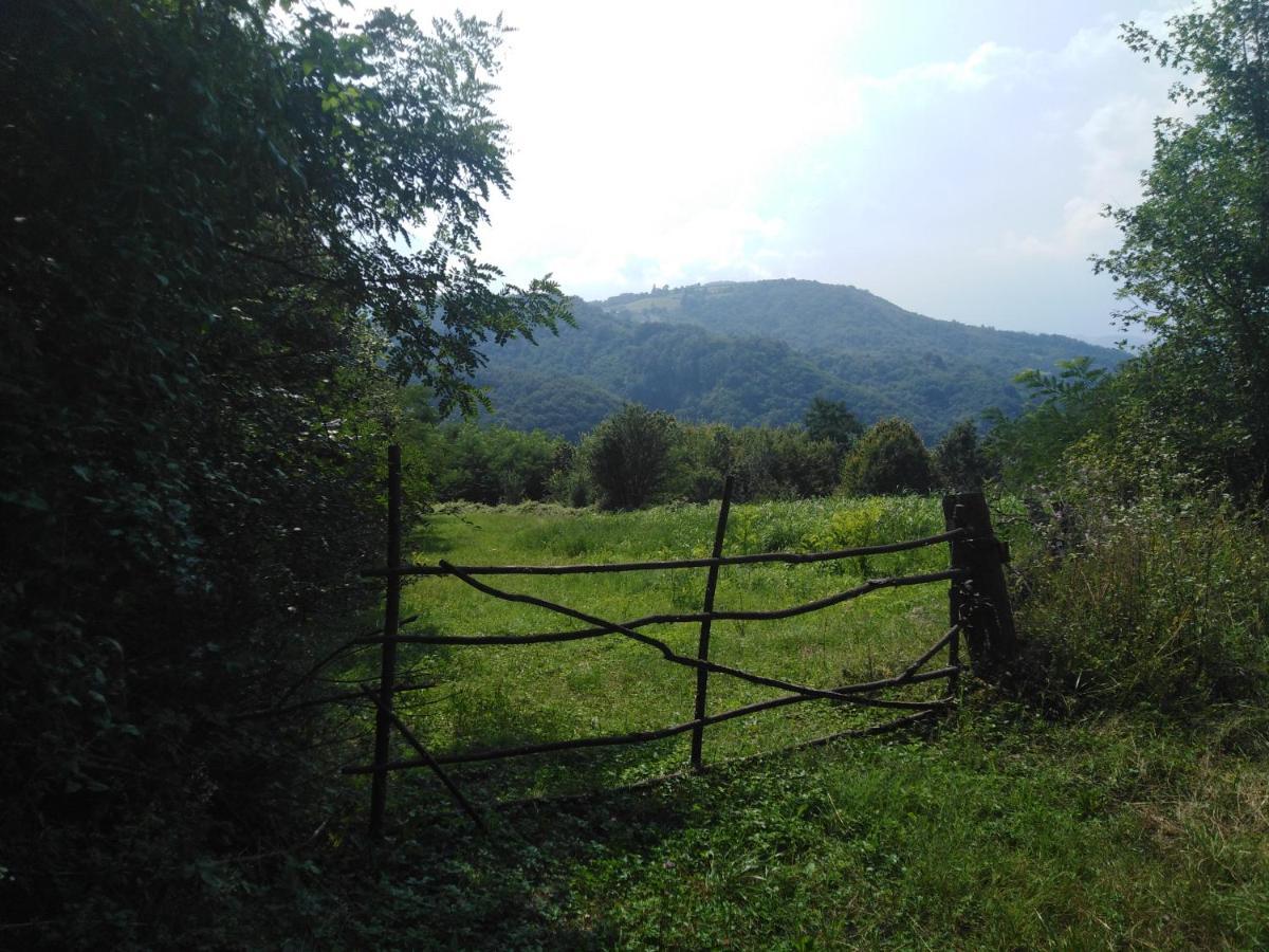 Guesthouse Smiljanic Slavkovica Bagian luar foto
