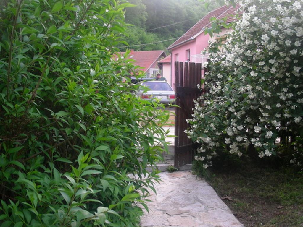 Guesthouse Smiljanic Slavkovica Bagian luar foto