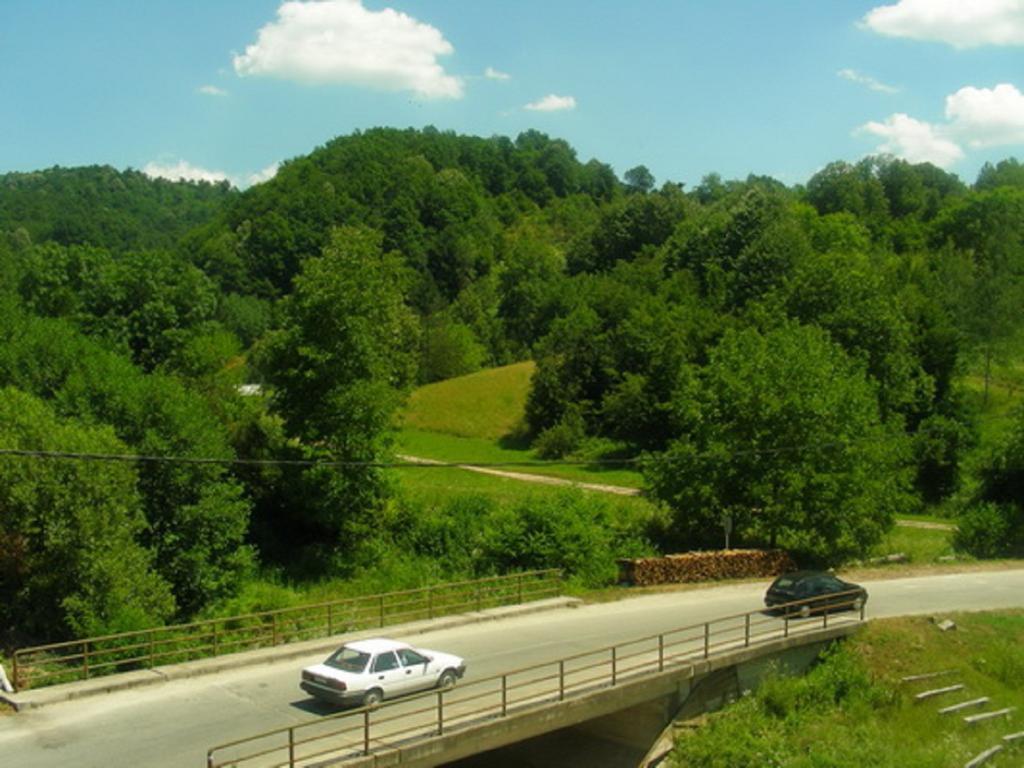 Guesthouse Smiljanic Slavkovica Bagian luar foto