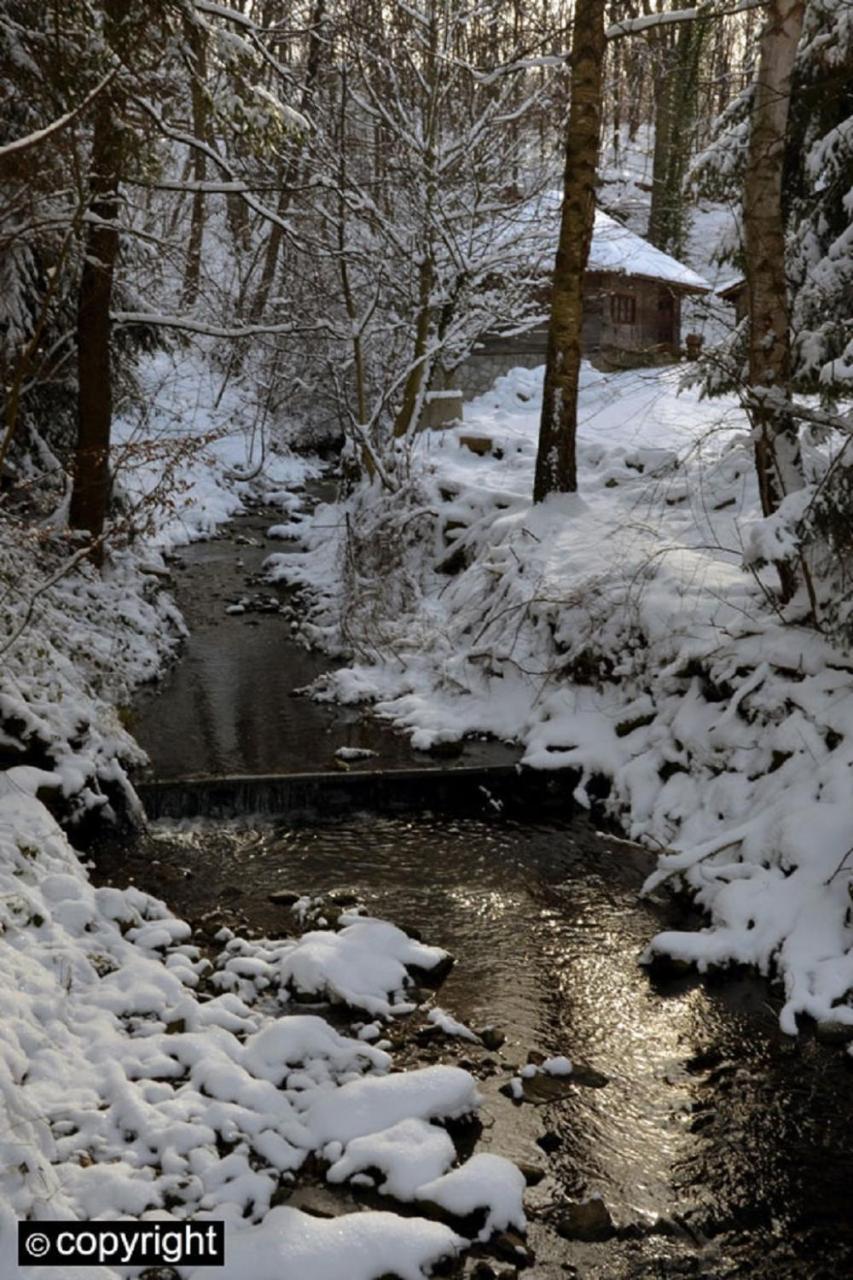 Guesthouse Smiljanic Slavkovica Bagian luar foto